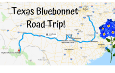 The 8 Best Places To See Bluebonnets In Texas In 2019