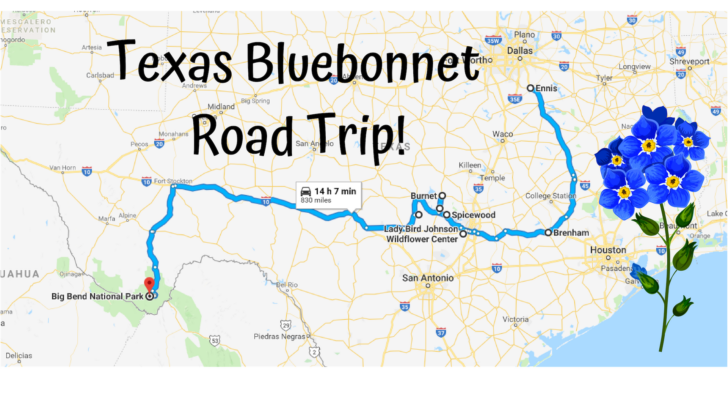 Texas Bluebonnet Trails Map