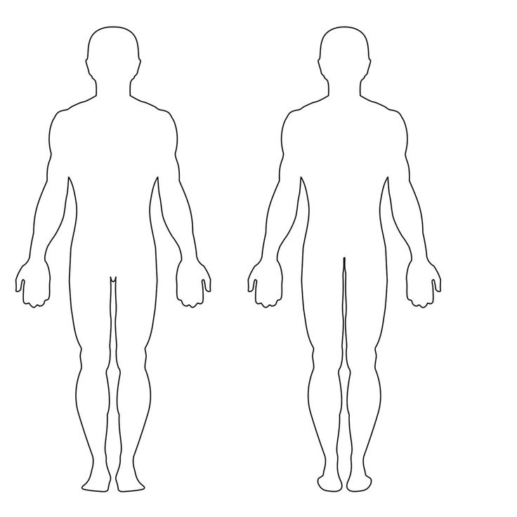The Extraordinary Free Human Body Outline Printable Download Free Clip 