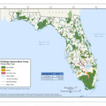 The Future Land Use Map Florida Wetlands Map Printable Maps