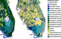 The Future Land Use Map Florida Wetlands Map Printable Maps