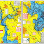 Topographical Fishing Map Of Lake Livingston With