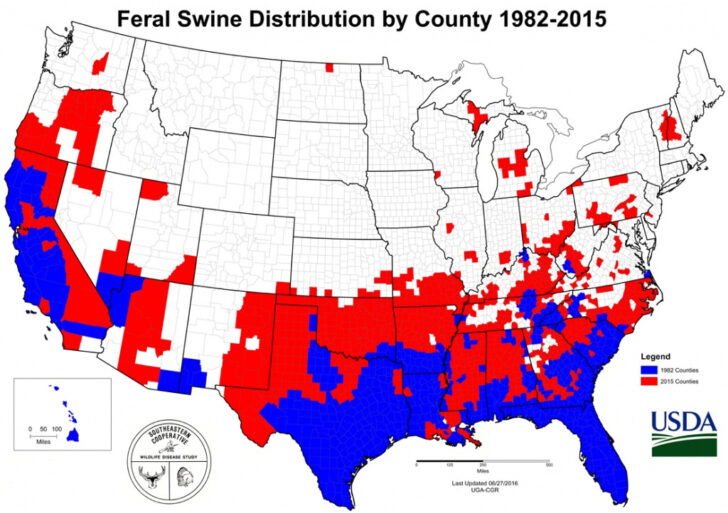 Wild Hog Population Map