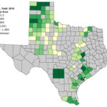 Usda National Agricultural Statistics Service Texas County