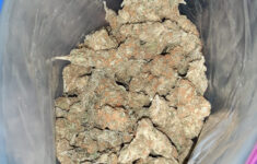 venta de marihuana y hash extraccion top 5 y mas en vigo compra 2 Venta De Marihuana Y Hash Extraccion TOP 5 Y Mas En Vigo Compra