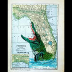 Vintage Florida Map Alligator Wildlife Coastal Gator Art Print Etsy