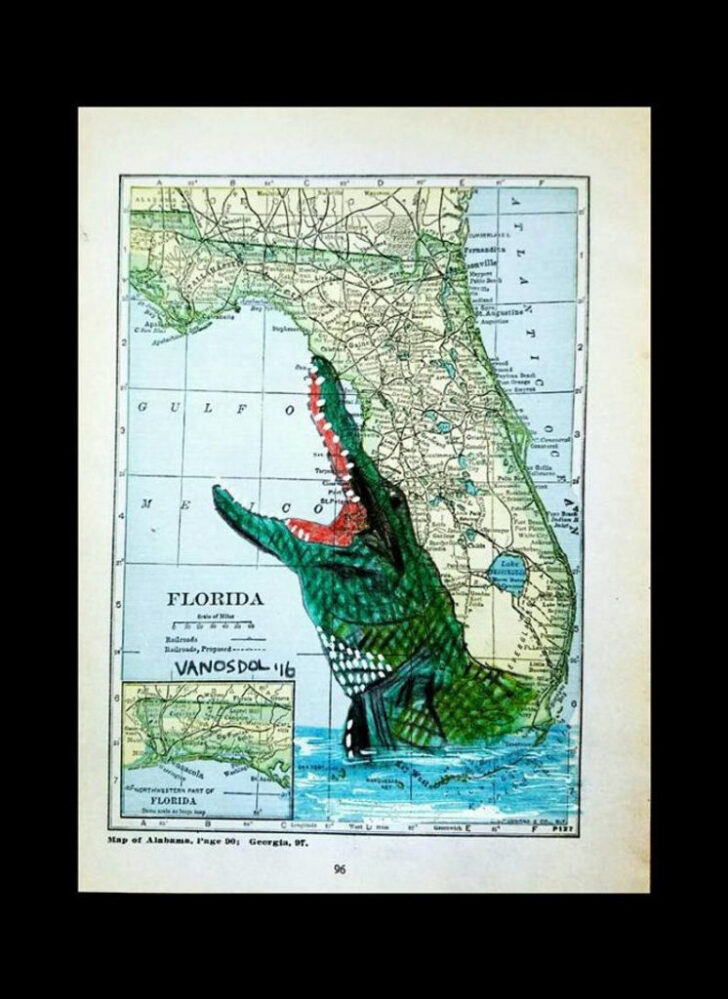 Alligators In Florida Map