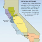 Visit A Member California Olive Oil Council California Almond Farms
