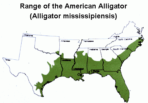 Map Of Where Alligators Live