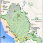 Where Is The Redwood Forest In California On A Map Printable Maps