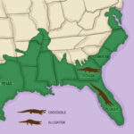 WikiHow Map Comparing Range Of Alligators And Crocodiles Dataisugly