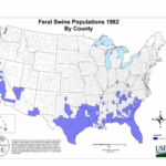 Wild Boar Mapping Using Population Density Statistics From Polygons